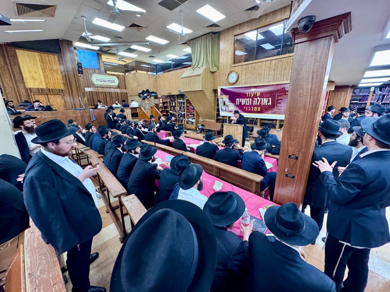 הגלריה השבועית - שבוע פרשת קורח ב-770
